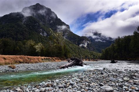 The Piano ! Une ode à la passion et au désir reflété dans les paysages sauvages de la Nouvelle-Zélande ?